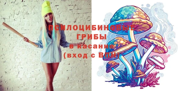 молекула духа Костерёво