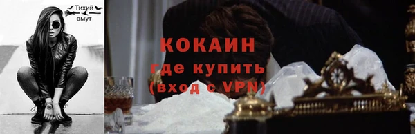 молекула духа Костерёво