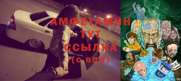 молекула духа Костерёво