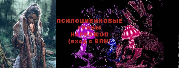 молекула духа Костерёво