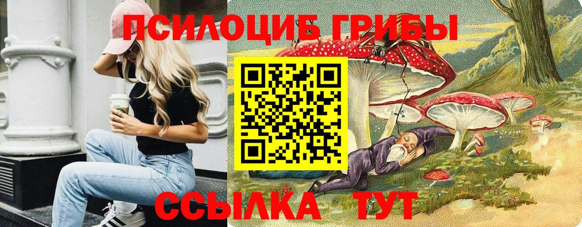 Псилоцибиновые грибы Казань